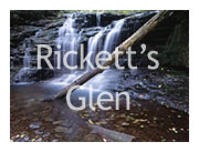 Rickett's Glen State Park, PA