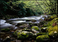 Middle Prong Little River, Great Smoky Mountains National Park, Tennessee