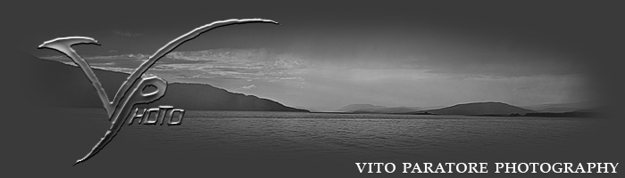 Vito Paratore Photography Banner