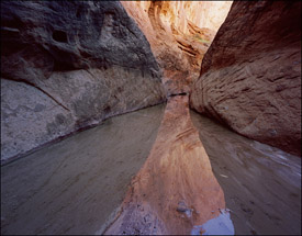 Confluence of 40 Mile and Willow Gulches, Escalante, Utah