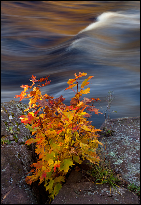 Rapids on the Presque Isle River in Fall, Porcupine Mountains Wilderness State Park, Upper Michigan, Picture