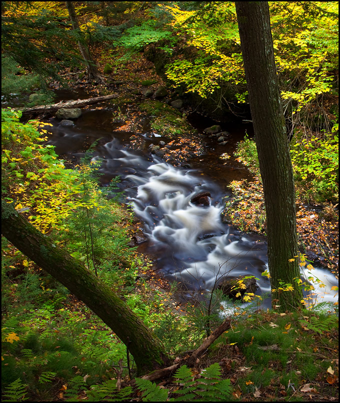Rapids near Greenstone Falls, Porcupine Mountains Wilderness State Park, Upper Michigan, Picture