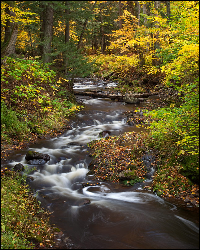 Rapids near Overlooked Falls Waterfall, Porcupine Mountains Wilderness State Park, Upper Michigan, Picture