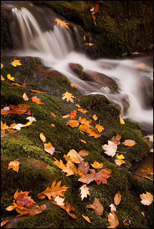 Trap Falls Waterfall, Porcupine Mountains Wilderness State Park, Upper Michigan, Picture